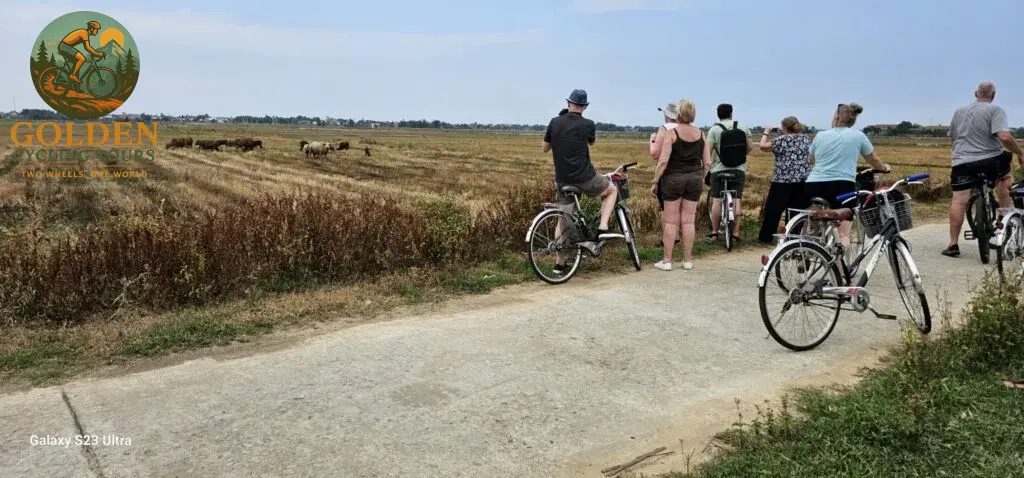 Hue Biking Tour to Chuon Lagoon: Half-Day Cycling Adventure